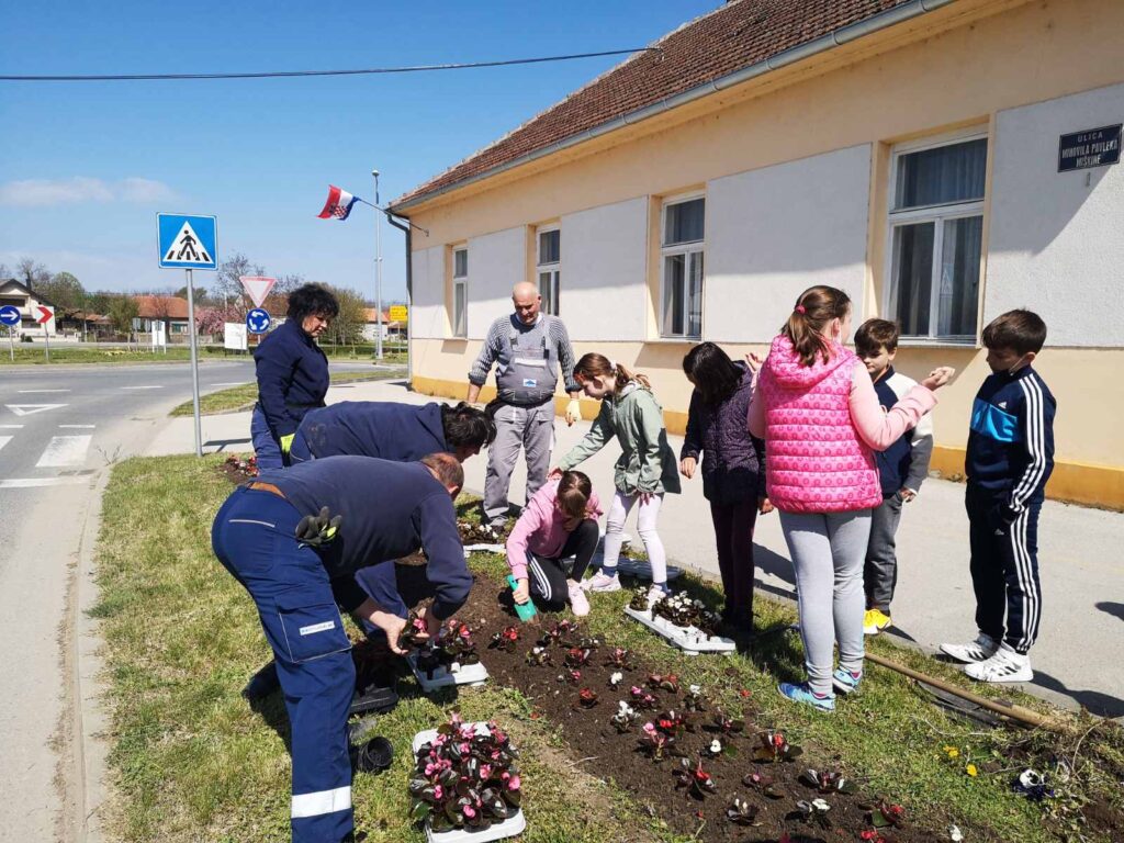 cvijeće-đelekovec-5