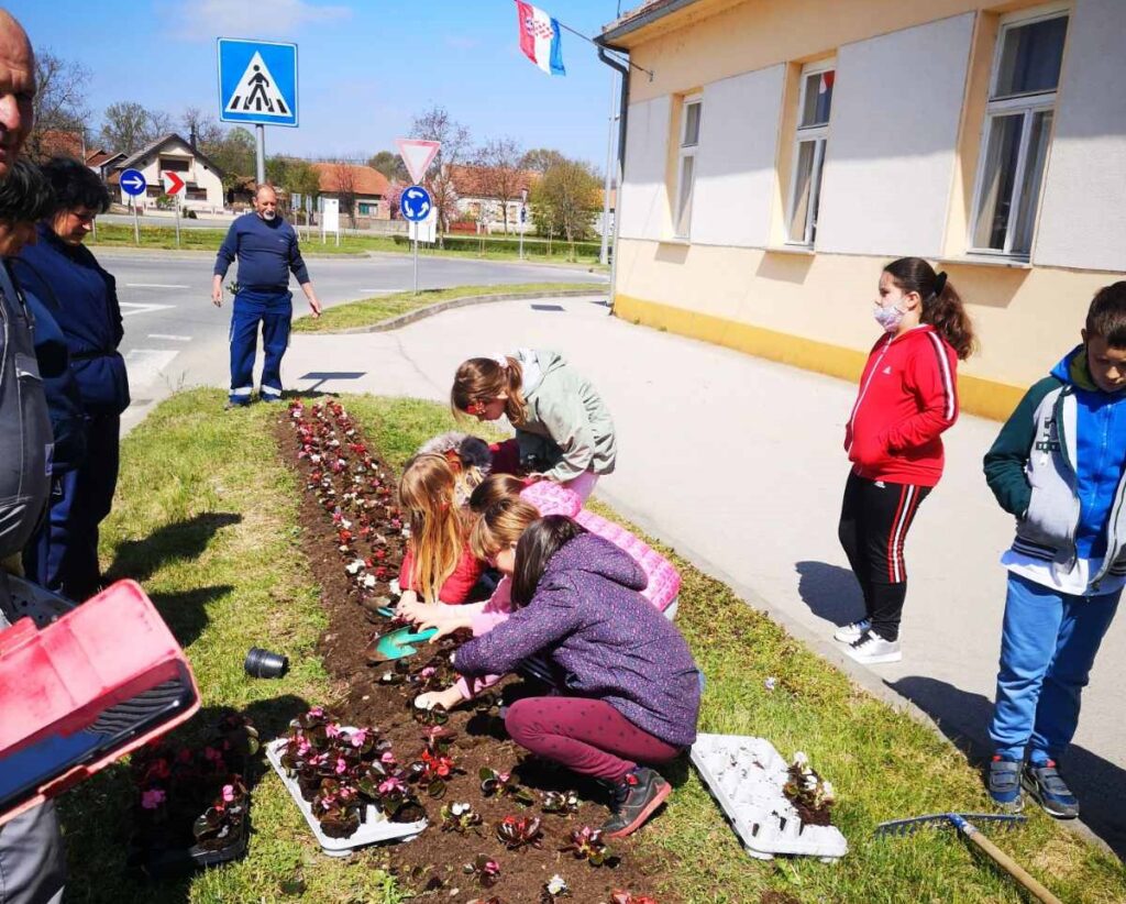 cvijeće-đelekovec-8