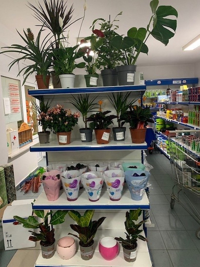 poljocentar žabno (10)