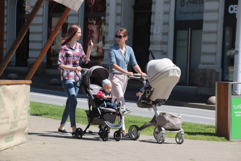 kž fotkalo špica (14)