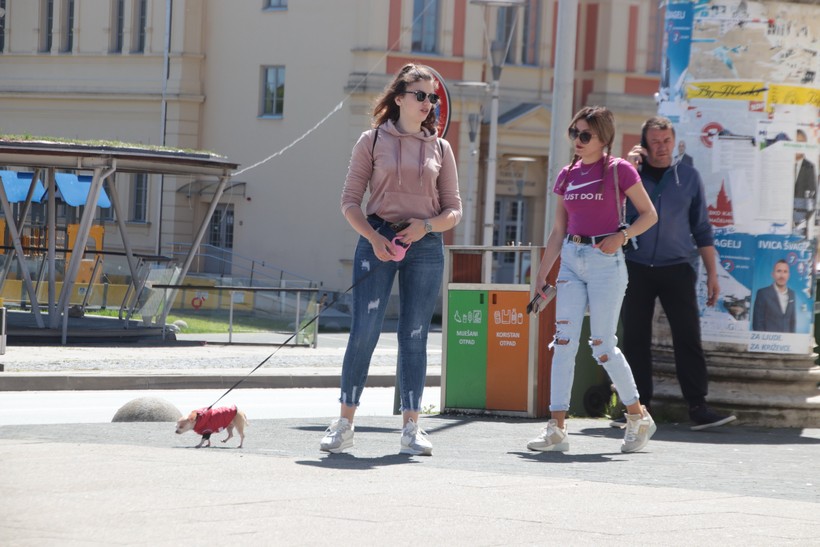 kž fotkalo špica (23)