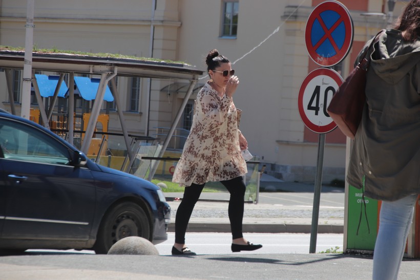 kž fotkalo špica (30)