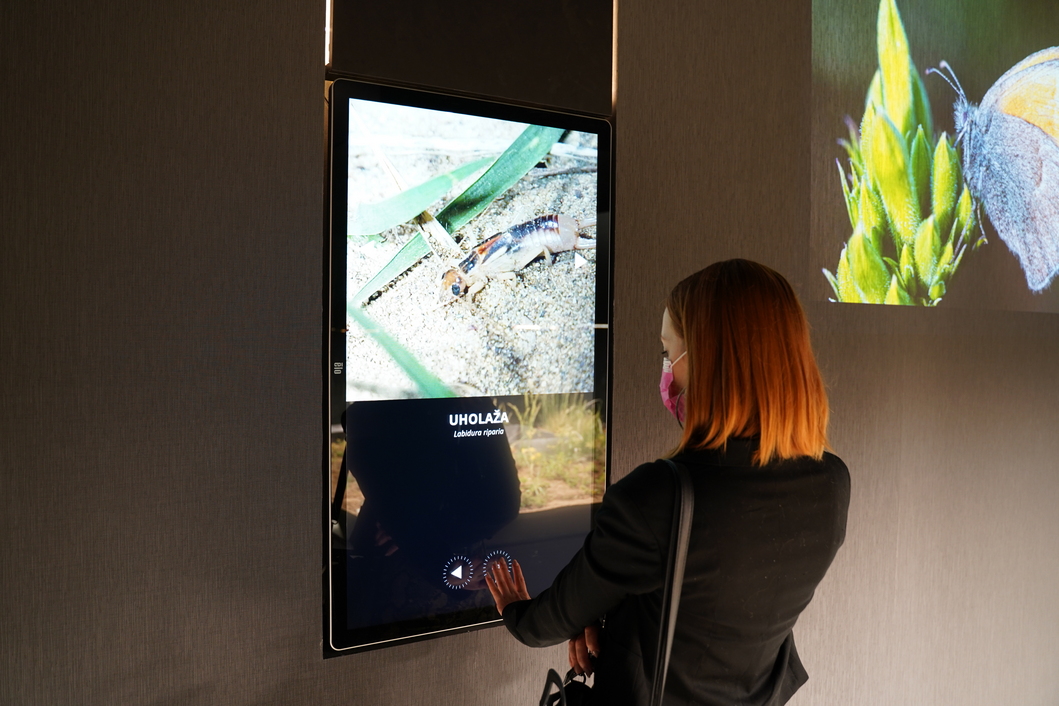 posjetiteljski centar djurdjevac (23)