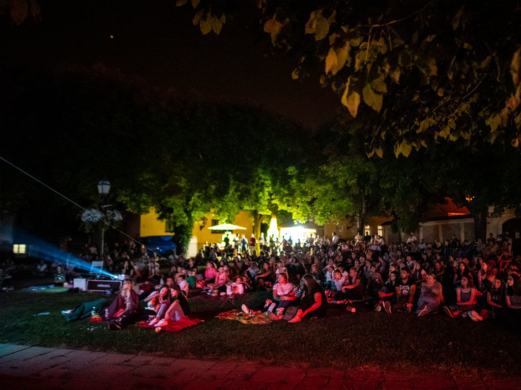 02 Robin ljetno kino_1