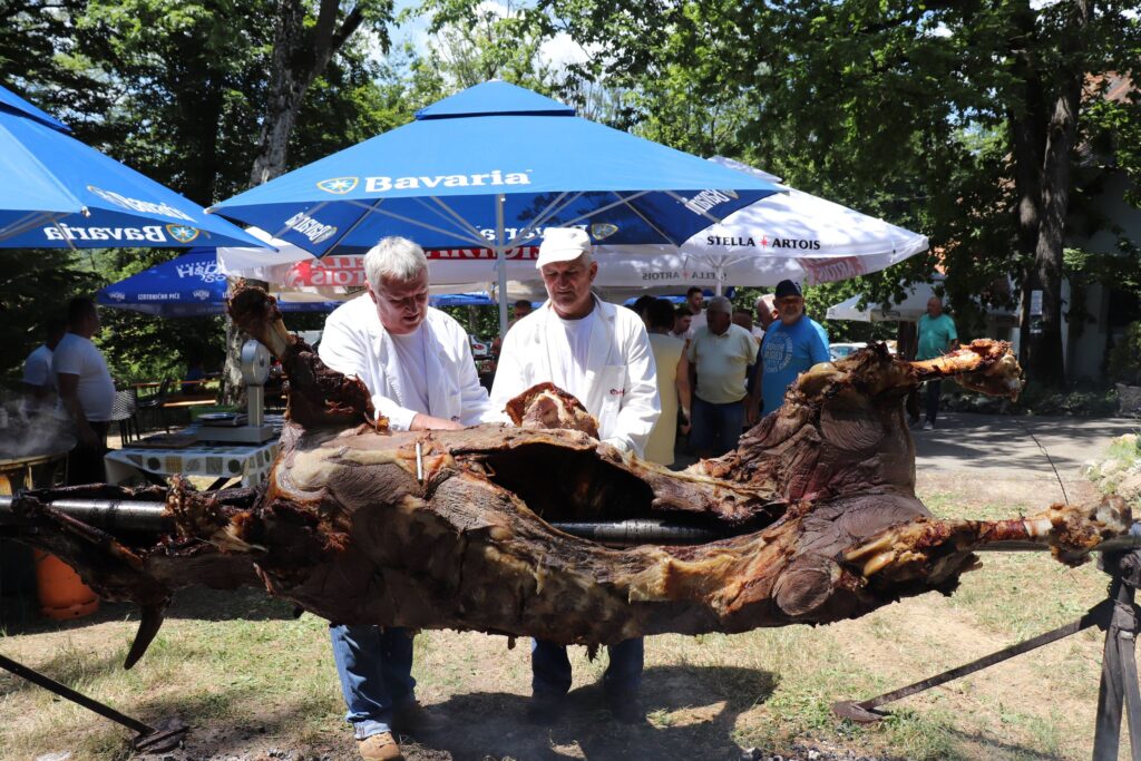 204588466_4024531227666434_535243781309079847_n