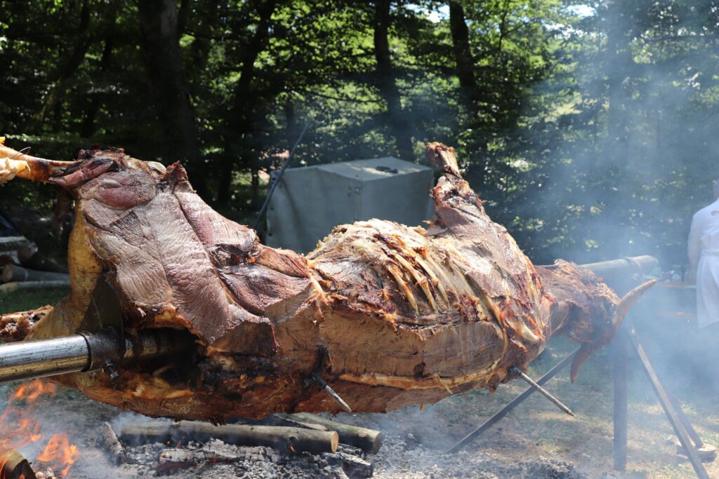 205363373_247044943891428_488639176314486362_n