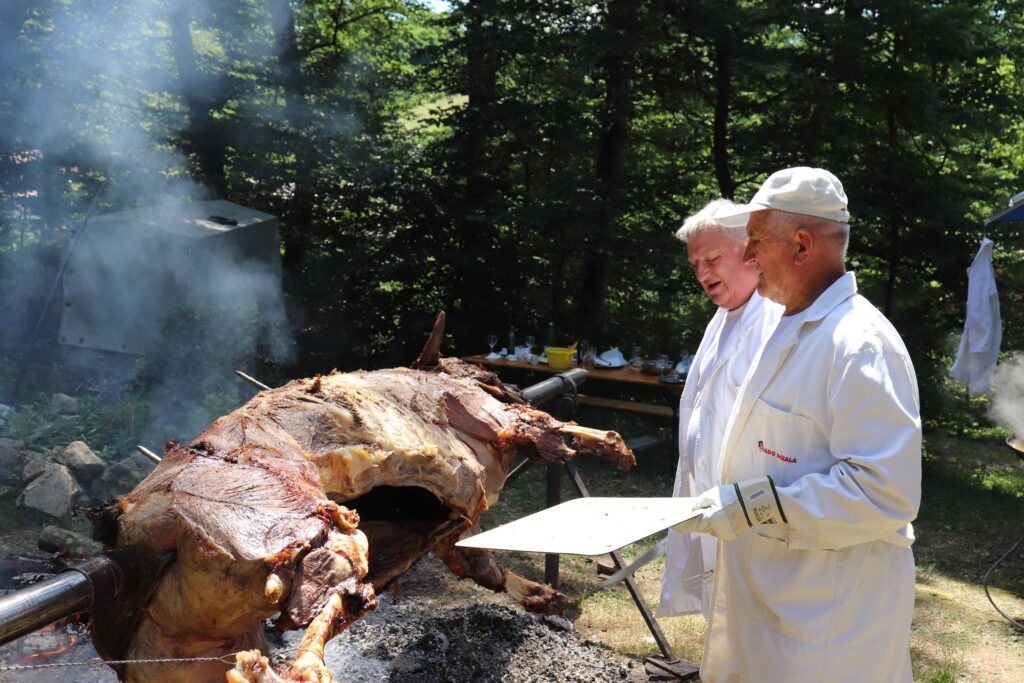 206204801_158599636323201_8124811298784953524_n