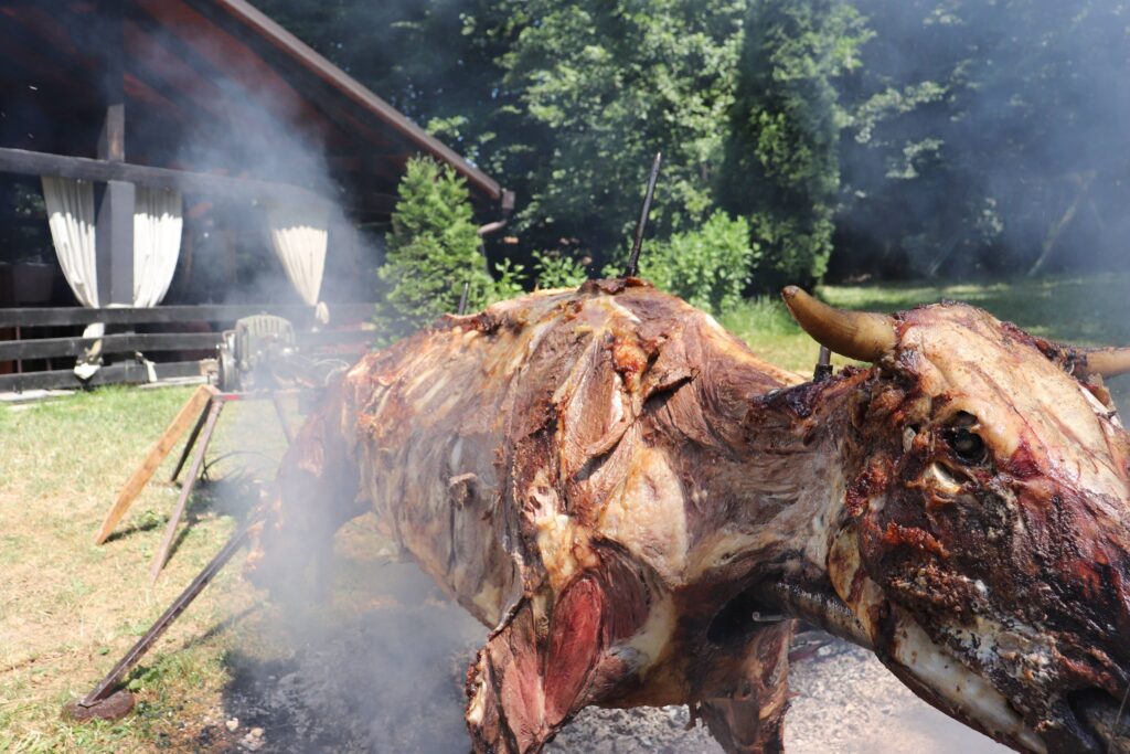 208038307_177574217579166_1661786538665046724_n