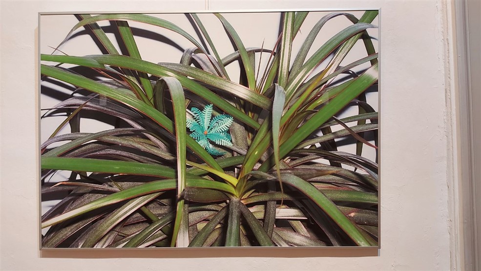 IMG-4b84fd84c73cdaa7edb1246197f2a20f-V