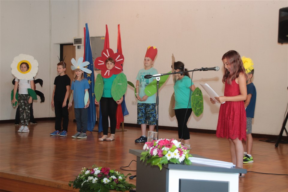 IMG_7383_resize