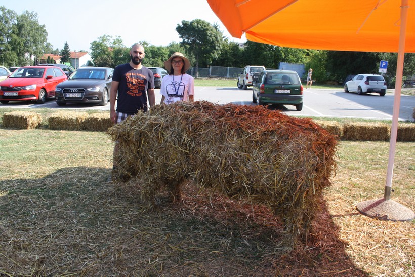 kipovi od slame vrbovec (4)