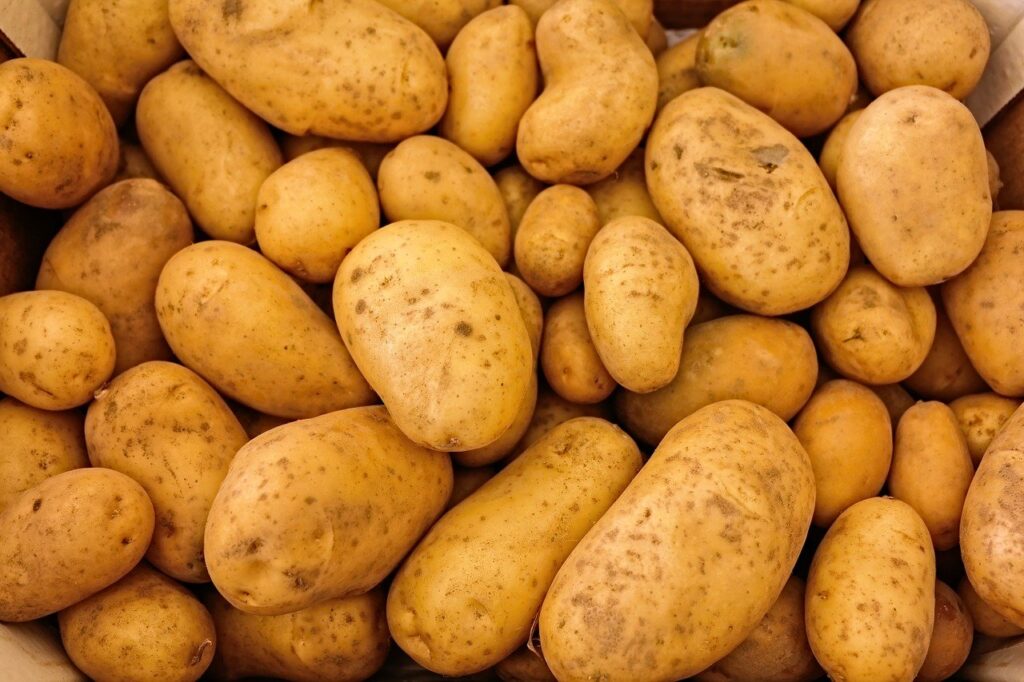 ZBOG SUŠE I TEMPERATURA Krumpira će biti čak 70 posto manje, a cijene se penju