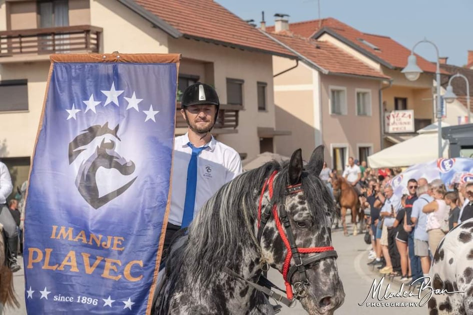 Škola jahanja, vožnja kočijom i jahanje u prirodi – uživajte kod obitelji Plavec u Svetom Petru Orehovcu