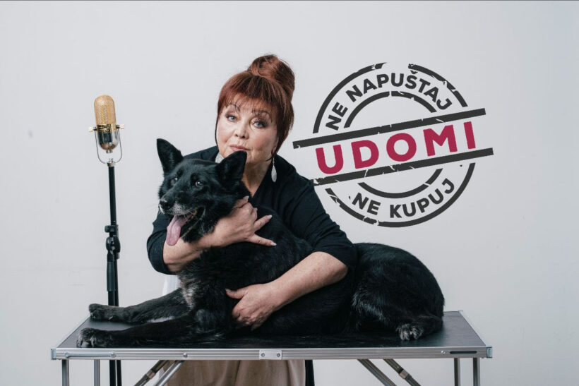 Psi i mačke s crnom dlakom teže udomljivi; Zdenka Kovačiček poziva na akciju