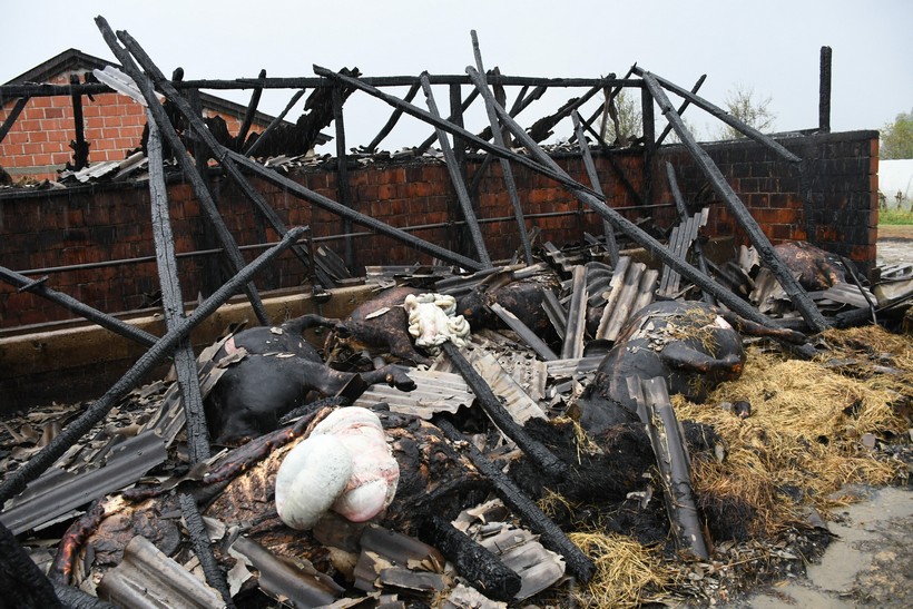 Stara Ploščica: U požaru na OPG-u Marinković izgorjela stoka