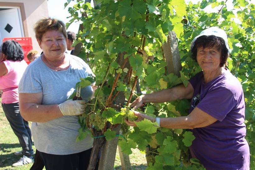 Radio gorice za Katružu 2021 (9)