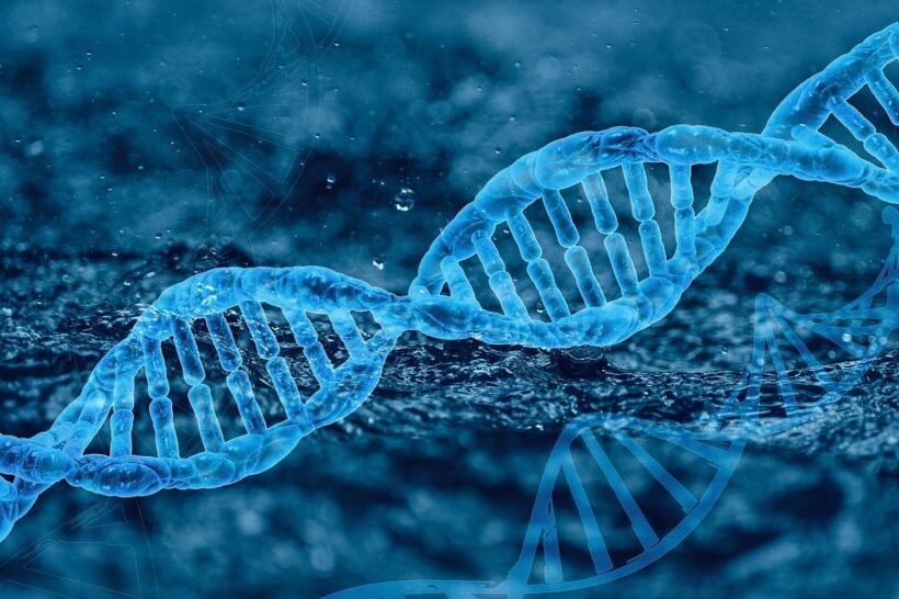 Hrvatski znanstvenici otkrili supersimetriju genetskog koda, tajnu genetike