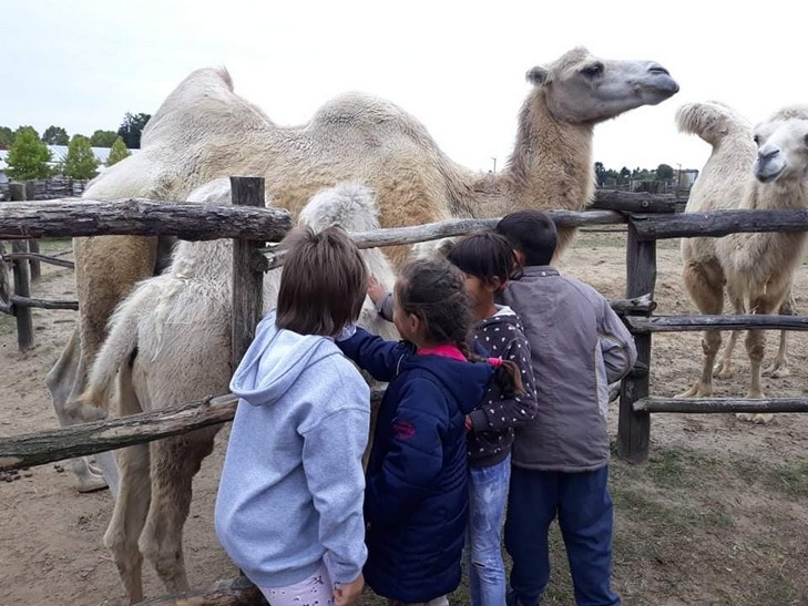 đurđevac sahara (7)