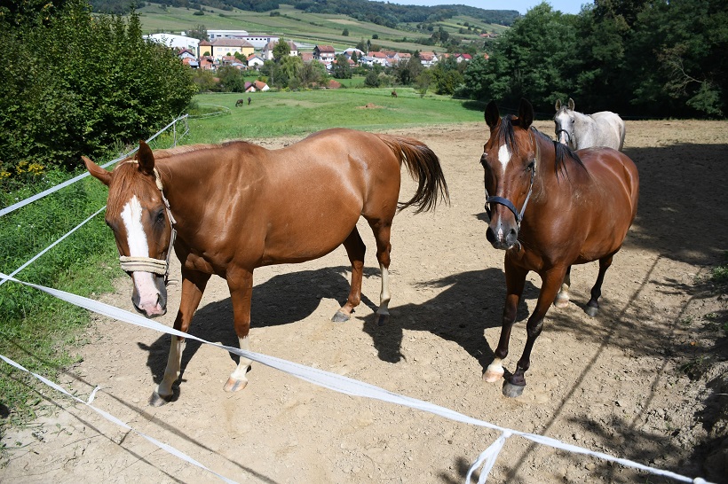 Veliko Trojstvo moglo bi postati najbolje turističko selo na svijetu