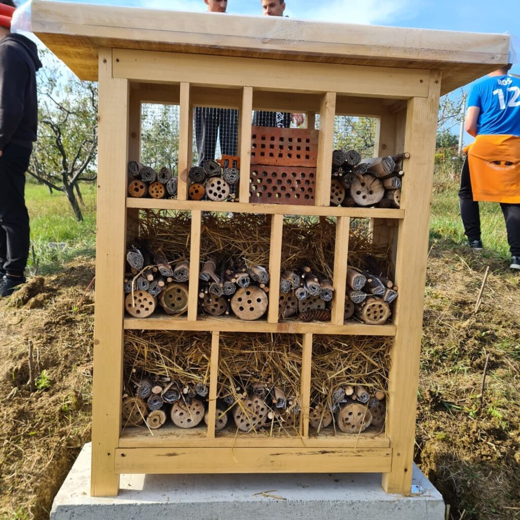 245217614_1843708475817466_5100719237286737033_n