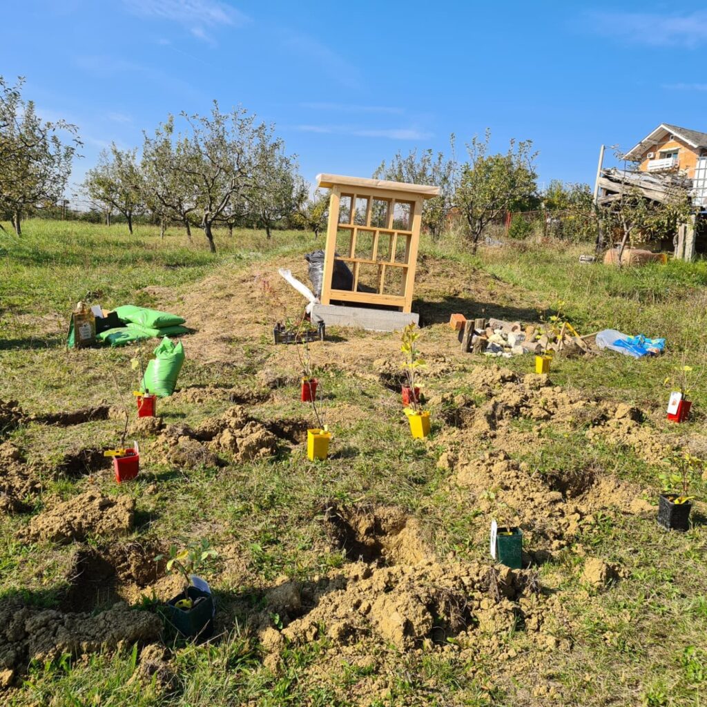 245292716_1843708469150800_1522936811244071710_n