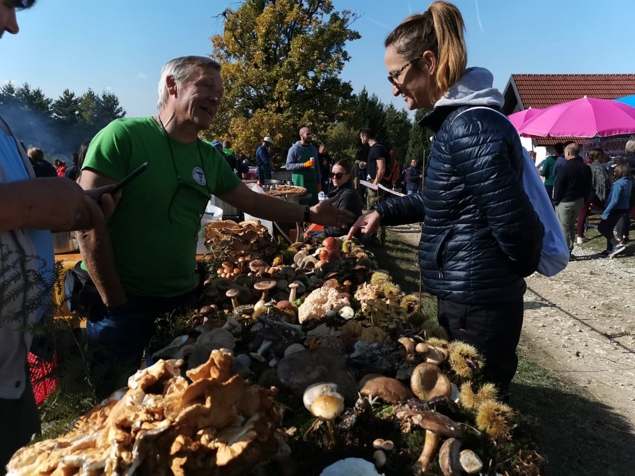 246151463_2901659326811500_6042121688969580521_n