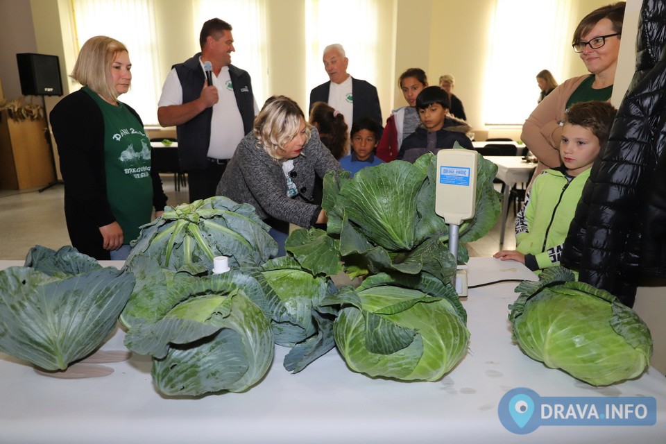 24. Dani zelja i Bregofske pite- Koprivnički Bregi