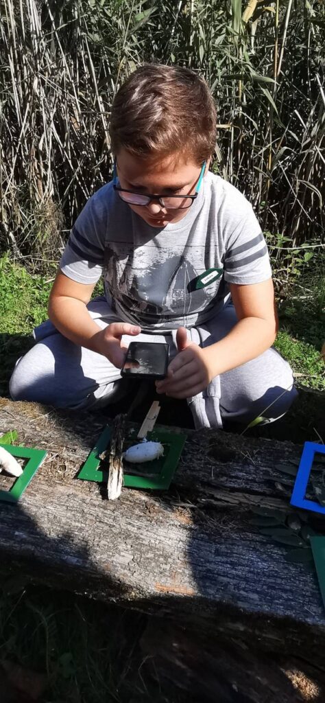 IMG_20211004_125257 (Medium)