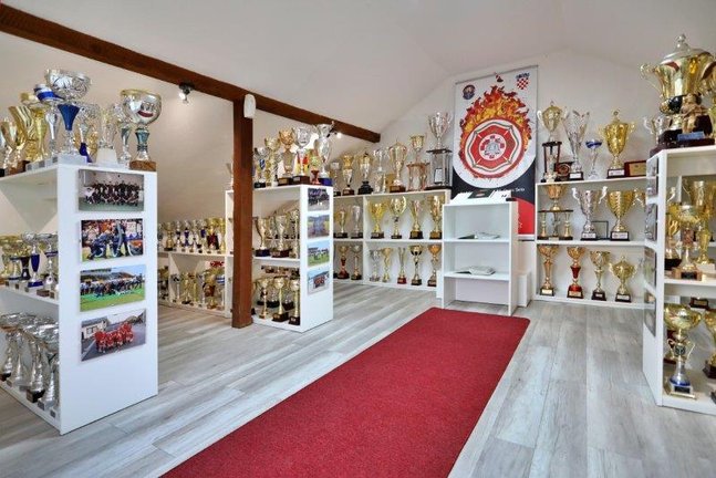 dvd_andrilovec_261021_autor_fotografije_drazen_kopac__1.jpg__648x432_q85_subsampling-2