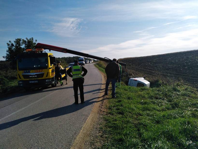 prometna guščerovec (1)