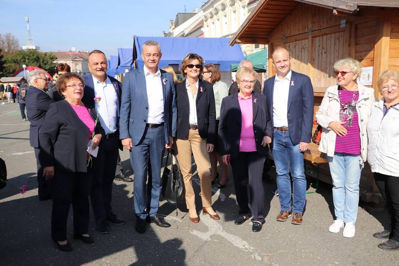 ružičasta vrpca (2)