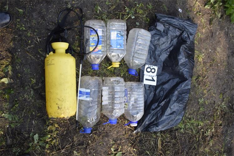 trava marihuana konoplja (4)