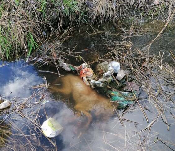 252682372_451658446310787_7228086607052994175_n (1)