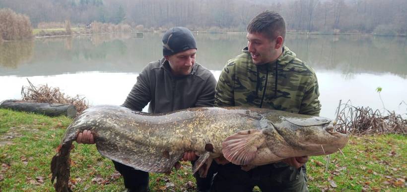 ivan magdić som (10)