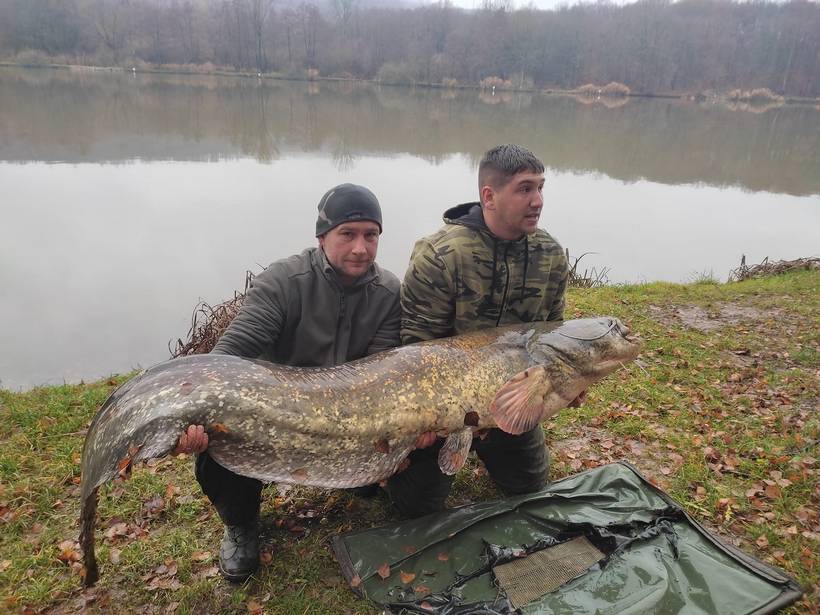 ivan magdić som (3)