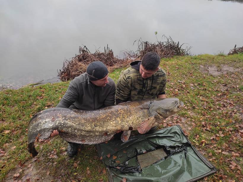 ivan magdić som (4)