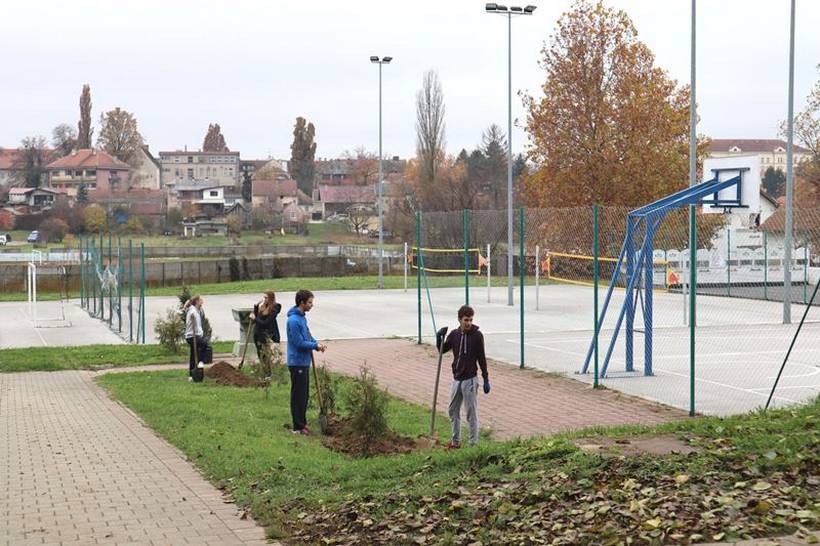 sadnja stabala križevci (11)