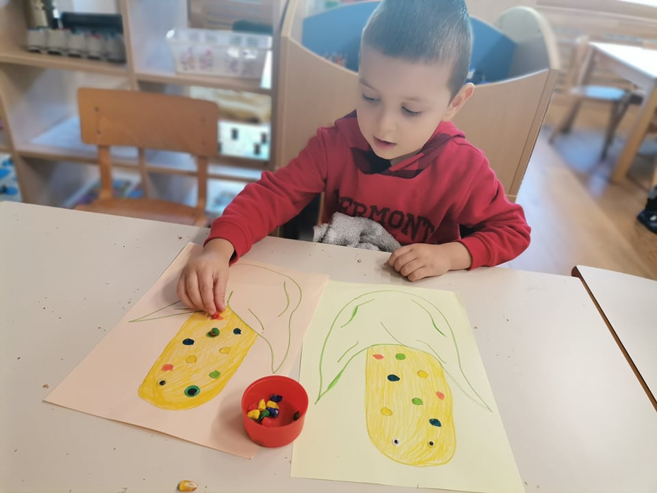 zebrice đurđevac (3)