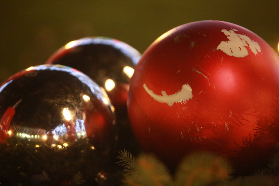 advent-8-prosinca-02