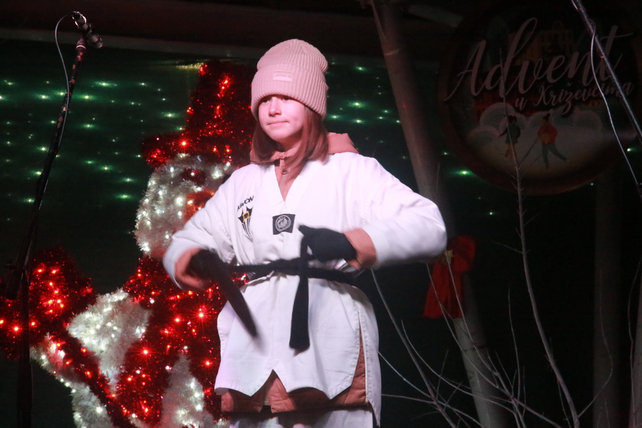 kolibrici-djed-mraz-20