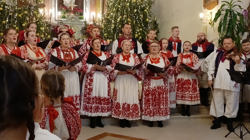 lupoglav (2)