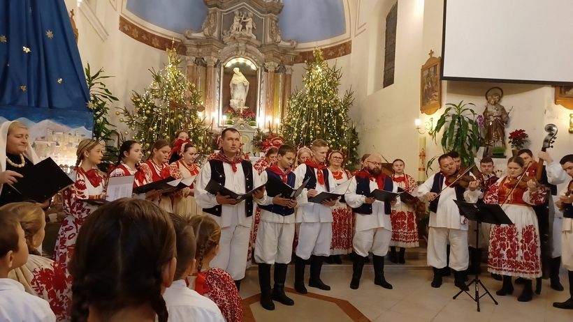 lupoglav (3)