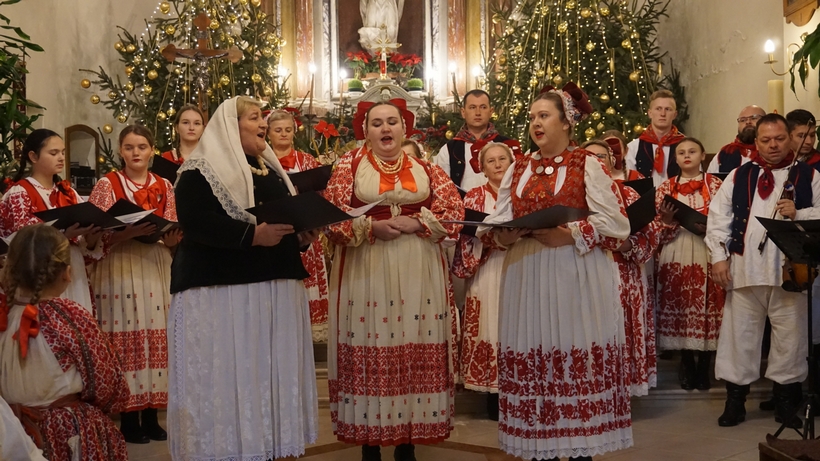 lupoglav (4)