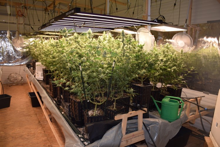 [FOTO/VIDEO] Otkrili dva improvizirana laboratorija za uzgoj marihuane