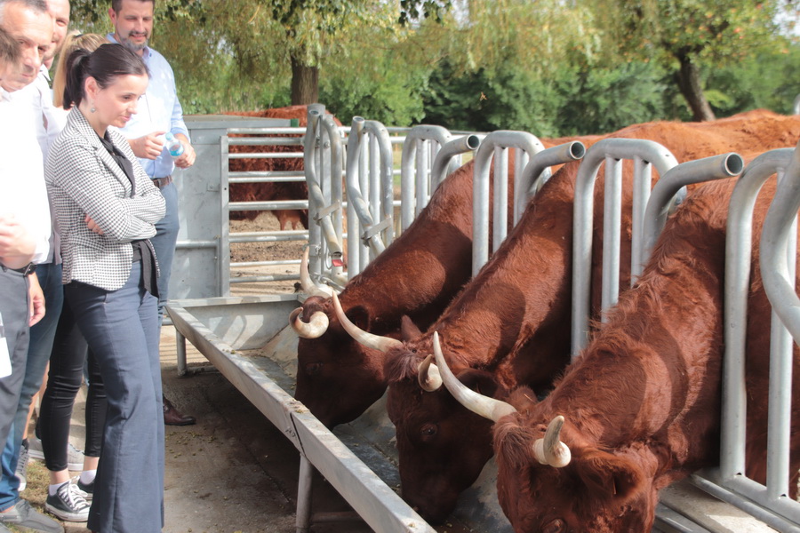 review-2021-036_resize