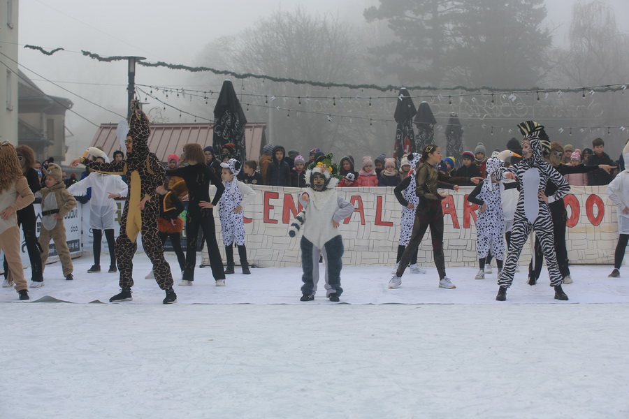 vrbovec-djecja-nova-32