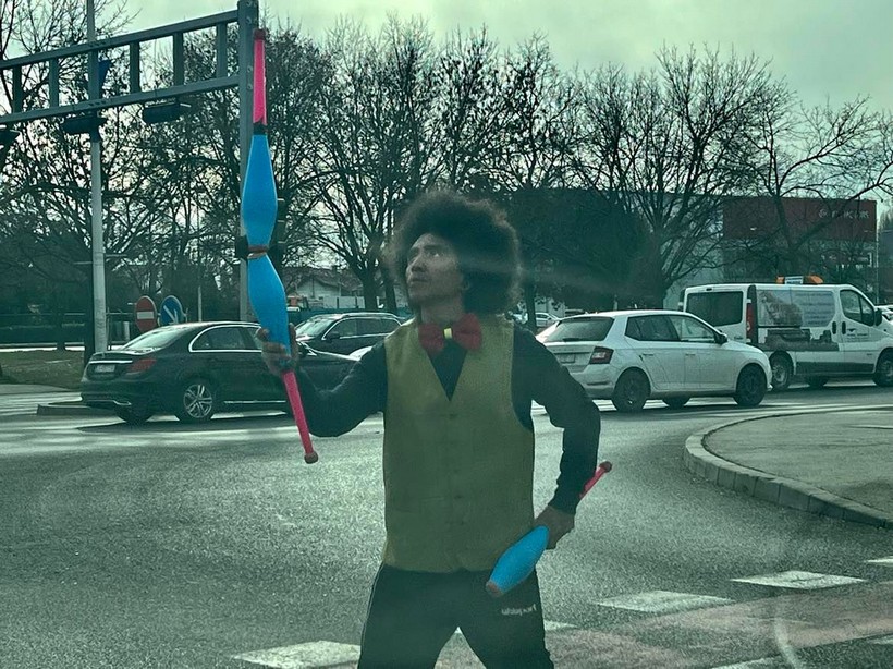 Coton iz Meksika (2)