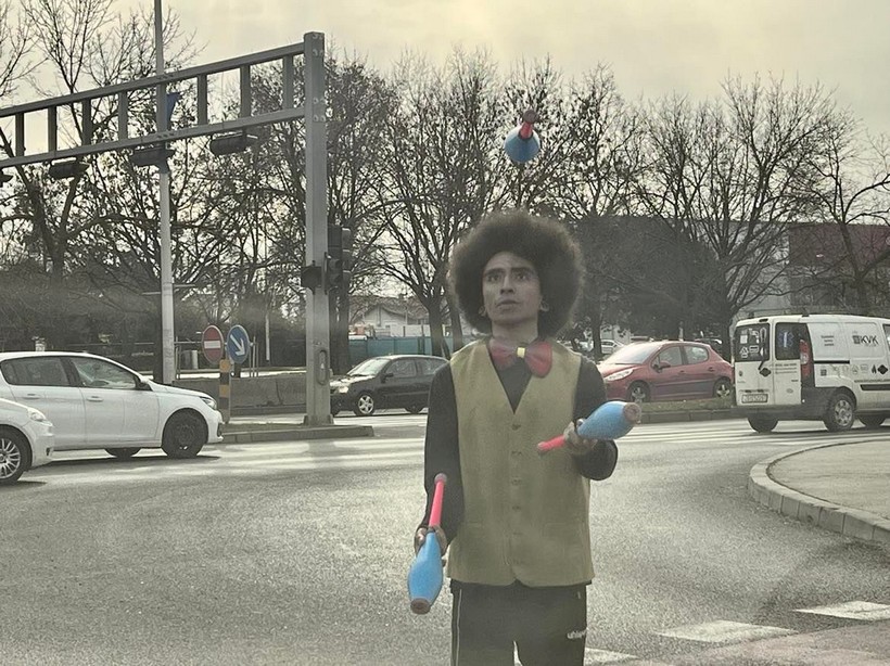 Coton iz Meksika (3)