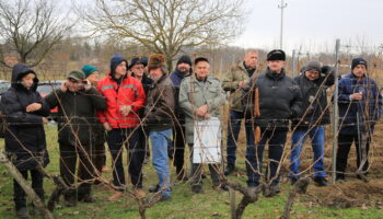 [FOTO/VIDEO] Đurđevački vinogradari i voćari obilježili Vincekovo