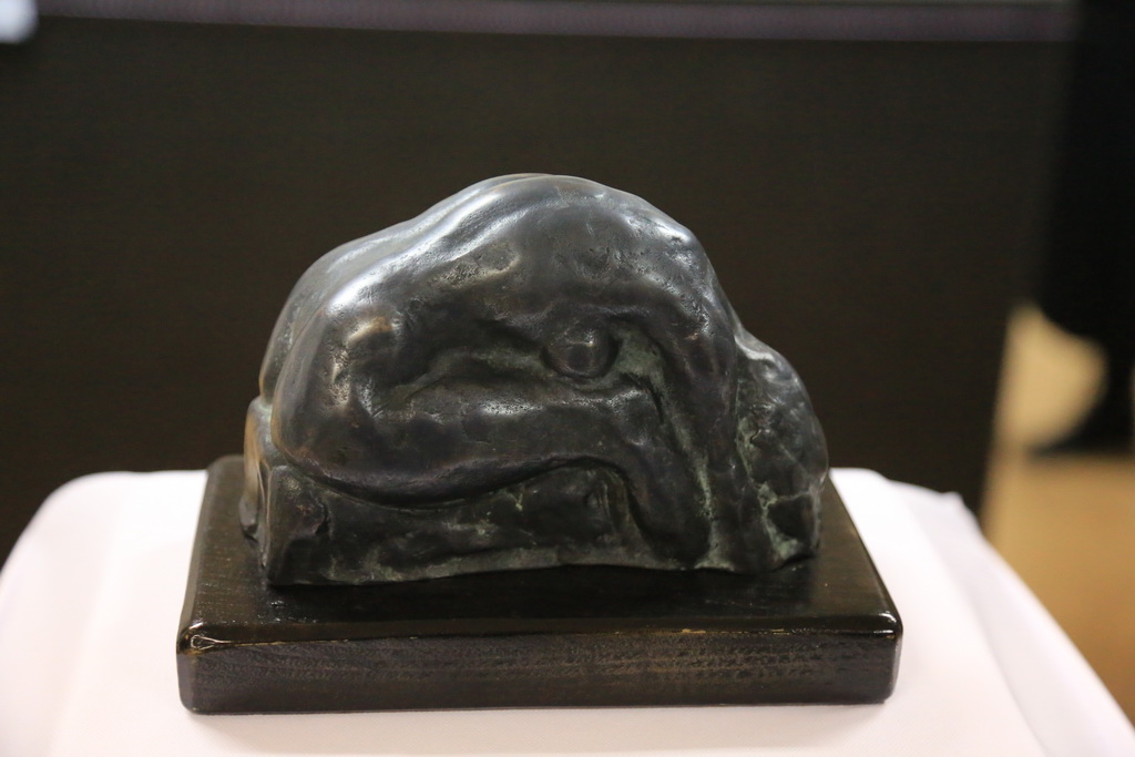 studenti-akademije-05